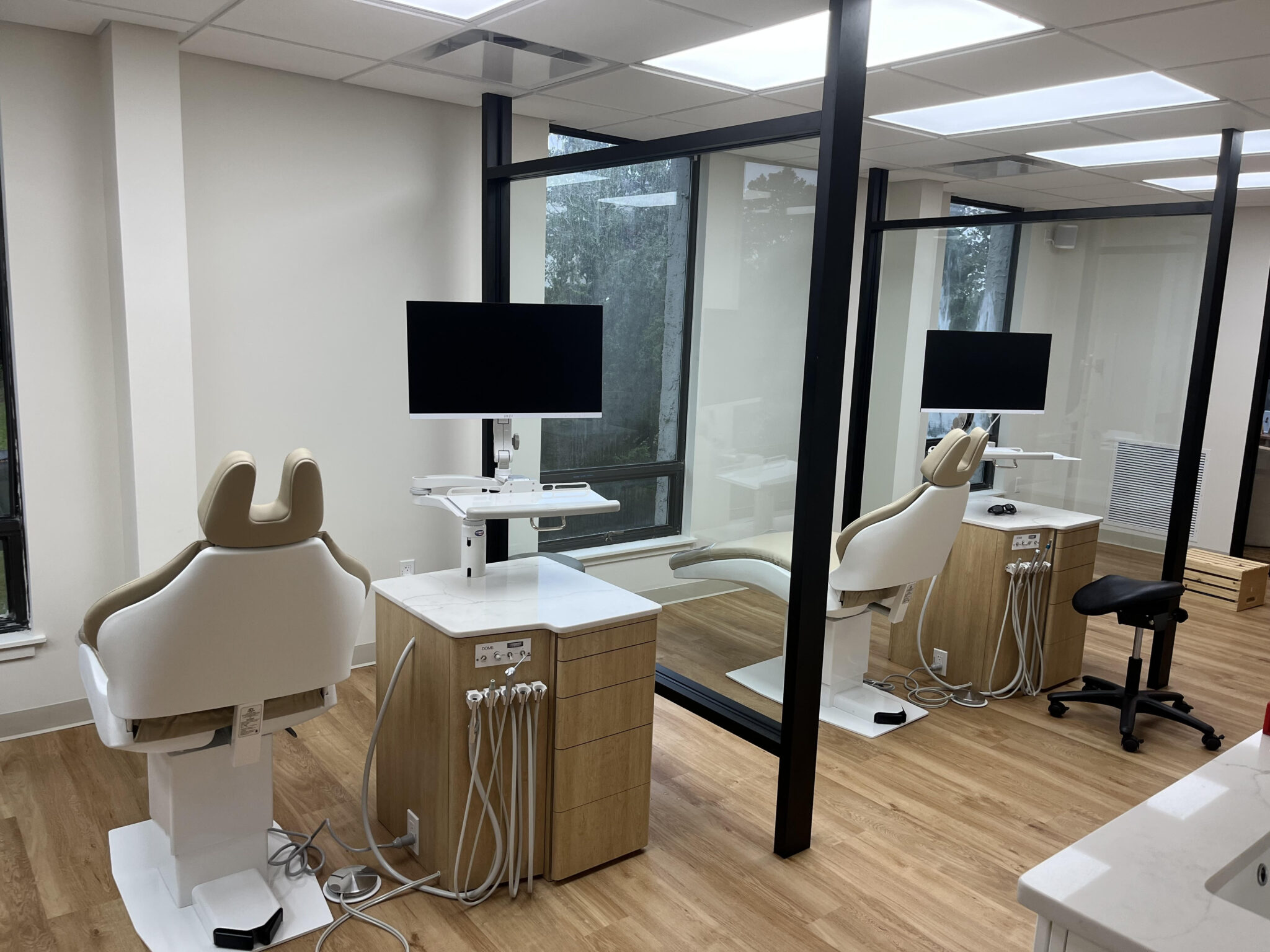 ortho